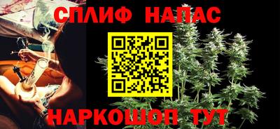 индика Лесосибирск