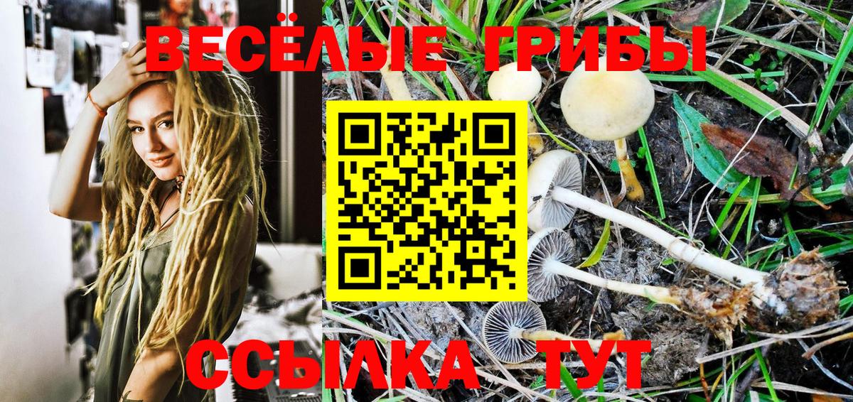 Псилоцибиновые грибы Psilocybine cubensis  Вход с VPN  Феодосия 