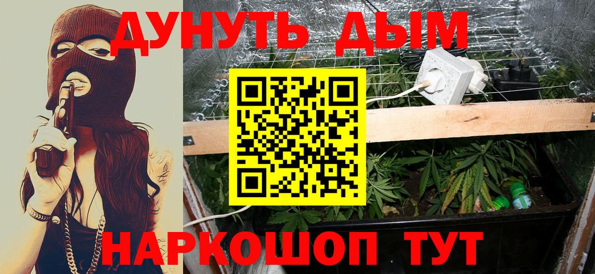 Каннабис сатива Феодосия